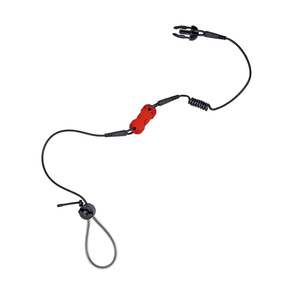 Daisy on the Ohoopee